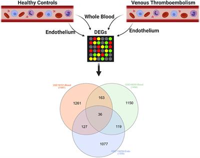 Molecular Basis of Cardiac and Vascular Injuries Associated With COVID-19